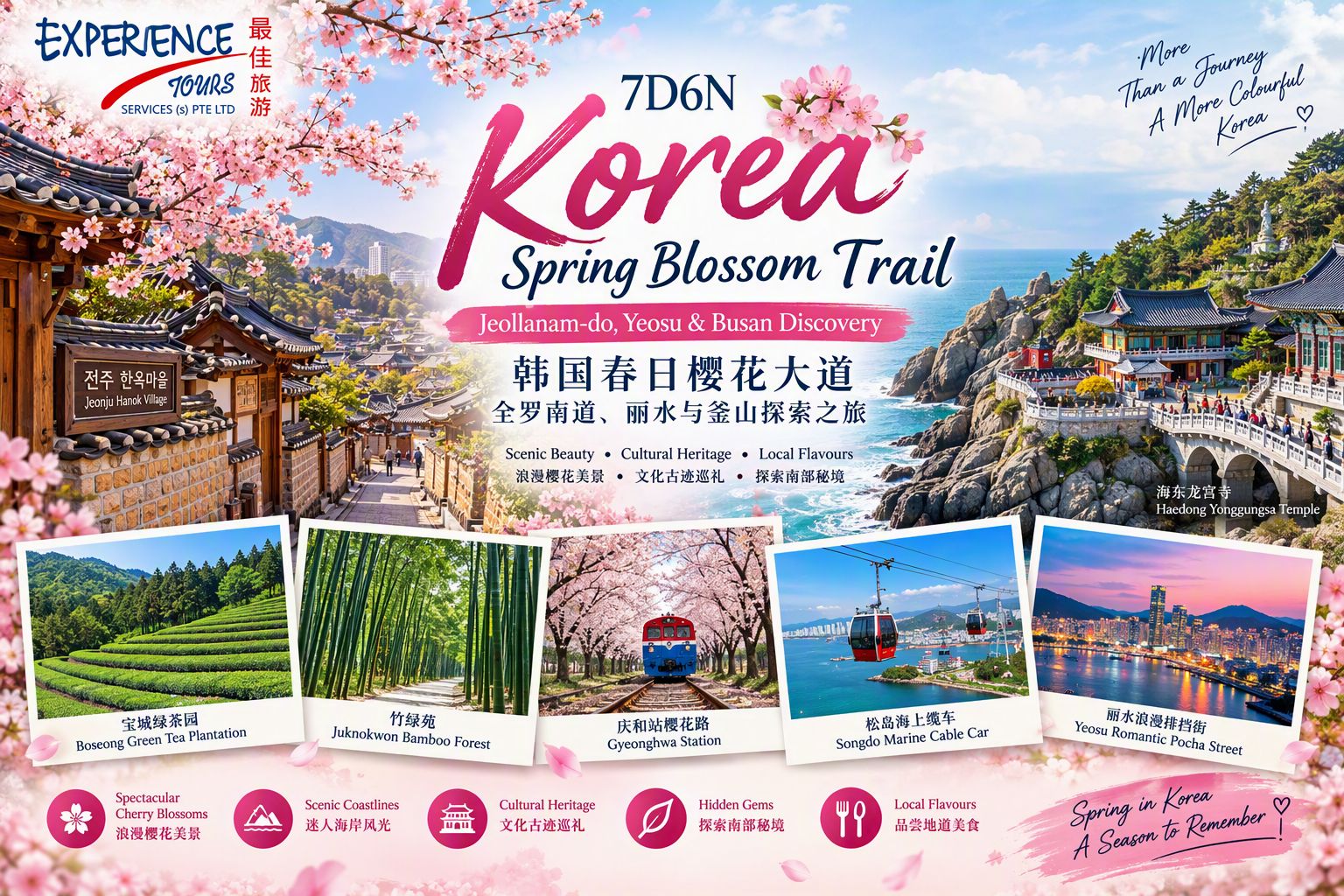 7D6N Korea Spring Blossom Trail